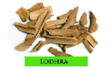 lodhra