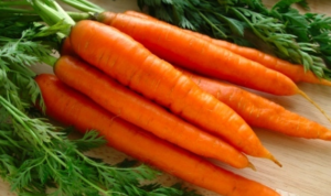 carrot1