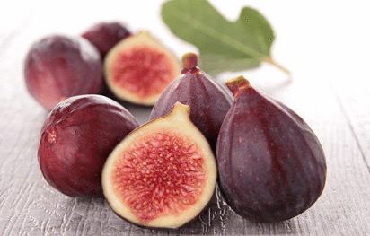 fig-herbalogy